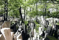 старое еврейское кладбище